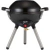 Coleman 4-in-1 Portable Propane Gas Cooking System -Alps Mountaineering Shop opplanet coleman 4 in 1 portable propane gas cooking system black 2000035015 main