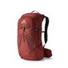 Gregory Citro 30L Daypack - Men's