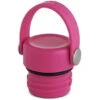 Hydro Flask Standard Flex Cap Carnation