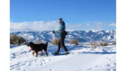 Uncharted Supply Co. Park Pack 29 Uncharted Supply Co. Park Pack -Alps Mountaineering Shop opplanet uncharted supply co the park pack black su p2r u bk usage 1