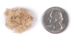 Wolf And Grizzly Spark Fiber Firestarter -Alps Mountaineering Shop opplanet wolf and grizzly spark fiber firestarter 1 3 oz wg fs msf av 1